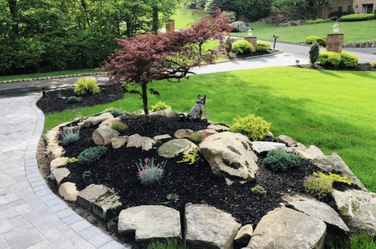 Landscaping design featuring a variety of rocks and trees arranged harmoniously in a natural setting.